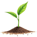 Programas de agricultura corporativa