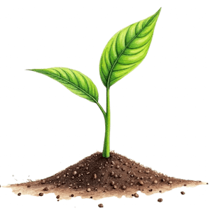 Programmi di agricoltura aziendale