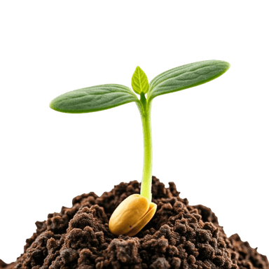 Chia sẻ kinh nghiệm