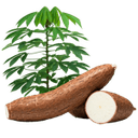 Produk Pertanian Lainnya