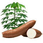 अन्य कृषि उत्पाद