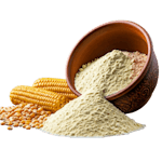 प्रसंस्करण उत्पाद