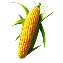 Kacang-kacangan dan Biji-bijian