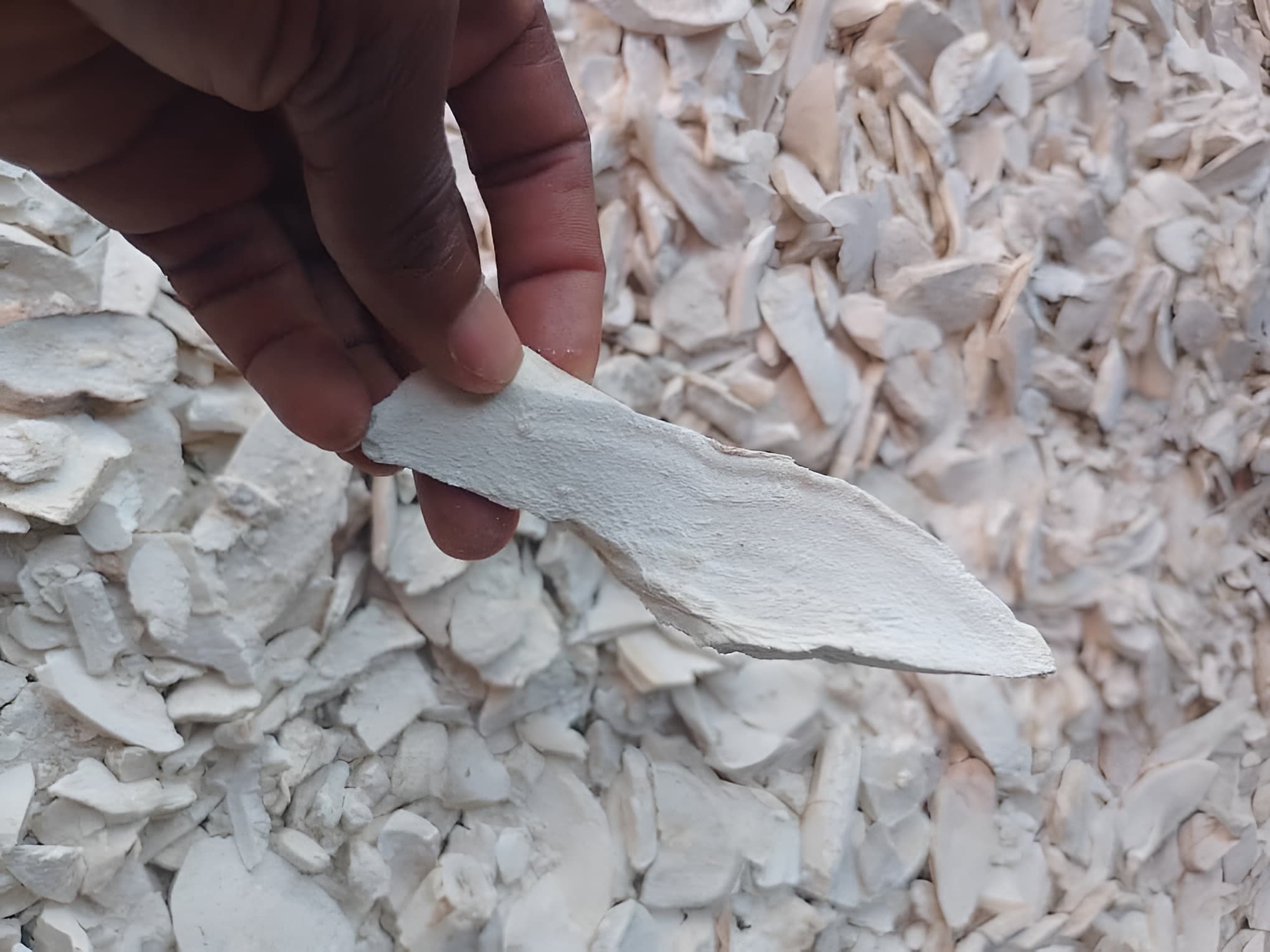 Dried, peeled cassava chips (Deko Group / public domain).